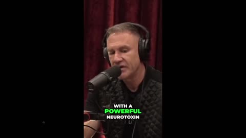 NEVER BUY CANOLA OIL: Joe Rogan show on this threat to your health