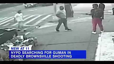 Black crime statistics