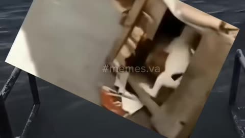 😂
