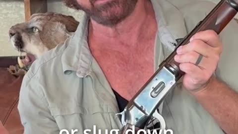 Why does .38-55 work in .375 Winchester rifles?