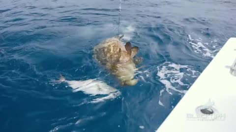 8 Year Old Catches OVER 1000lbs of Fish_part5