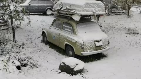 Happy first snow!