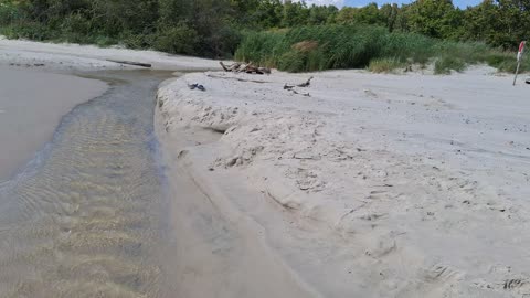 Vid Tyge å. havet Hagestad 29 Juli 2025