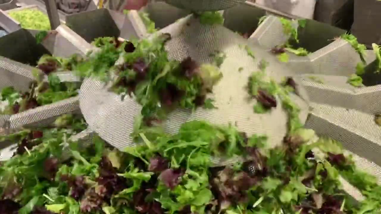 3lbs SPRING MIX (High Tek USA’s 14 Head 7.5L Combination SALAD Weigher) Specialty Salad Scale