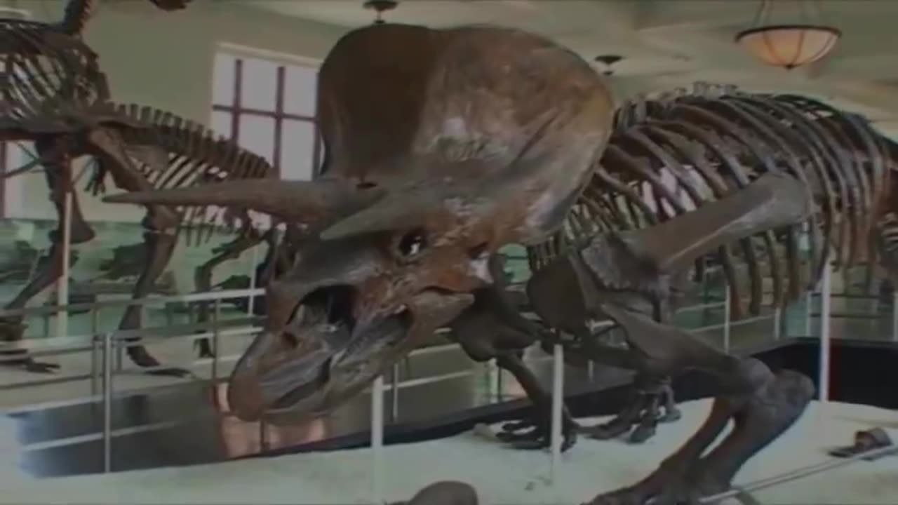 Evolution And Dinosaurs Debunked (Eric Dubay)