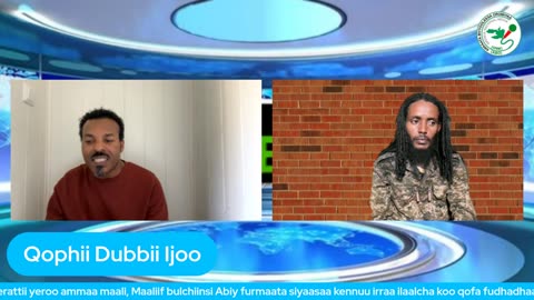 Qophii Dubbii Ijoo ONM-ABO Caamsaa 12-2025 itti dhiyaadhaa!