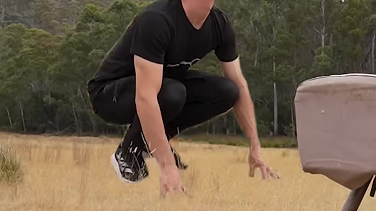 If animals did Parkour #giraffe #giraffevselephant #elephant #shorts