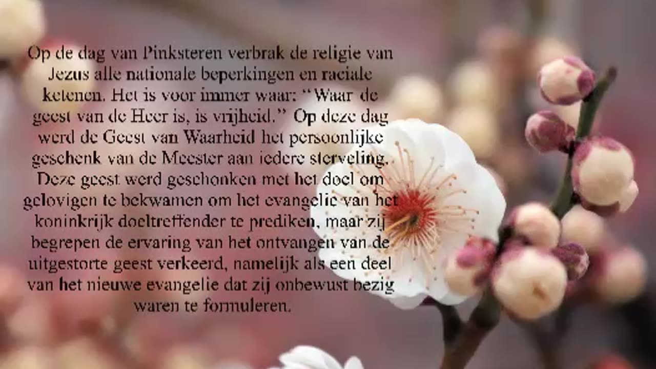 Op De Dag