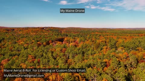 Maine B-Roll (No Sound): Fall Foliage at Lily Pond in New Gloucester, Maine Video 19