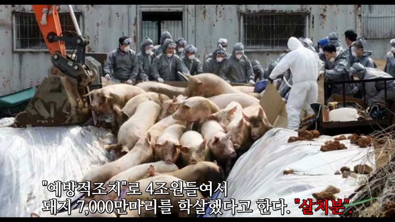 * 코로나 = 순사기(純詐欺)