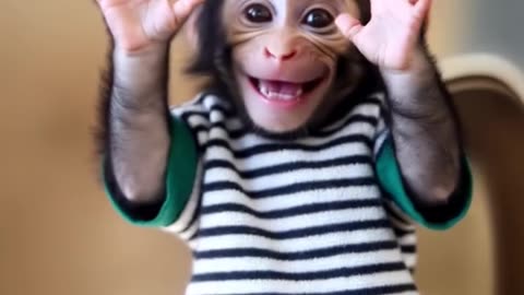 Pure Cuteness! Lovely Baby Monkey’s Adorable Moments in the Wild! ❤️ #Shorts