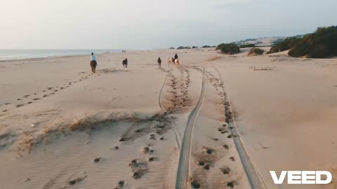 Bikes race, horses on the beach, sea