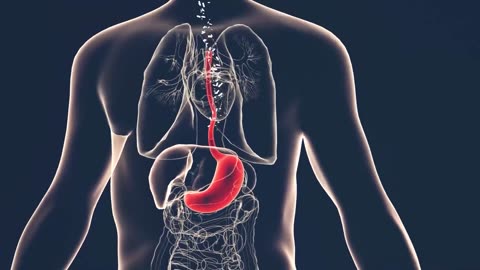 Understanding Nausea: What It Means & When It’s an Emergency | The Emergency Center