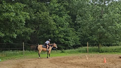 Pretty but STUBBORN Gemma
