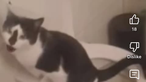 Azizie 162🤣🤣🤣