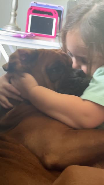 Young Daughter Loves On Boxer Dog