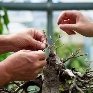 ⭐ This is More Than a Career. It's Your Legacy