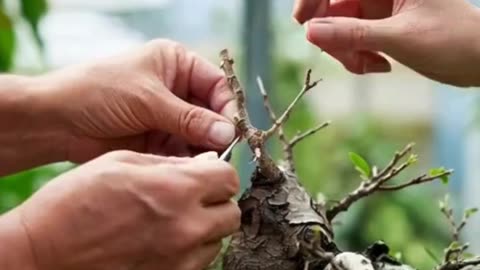 ⭐ This is More Than a Career. It's Your Legacy