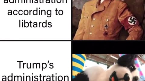 Perception vs reality