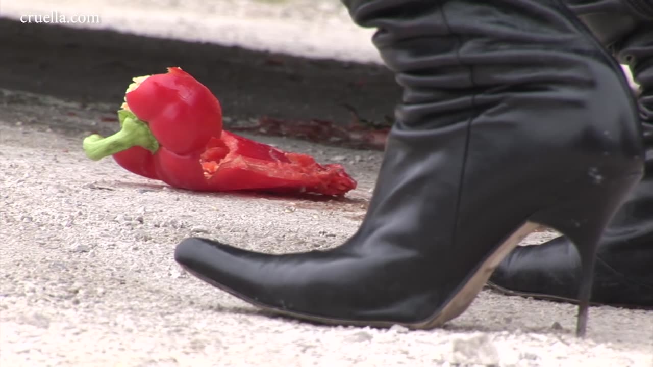 Vixen & Rose Car Tire Crush, Camera 1