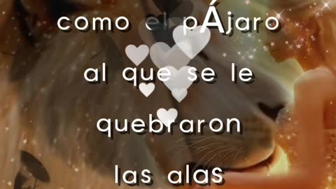REFLEXIÓN 💫 🤍 🙏 ❤️ ♥️ 💕 💫 🤍 🙏 ❤️ ♥️ 💕