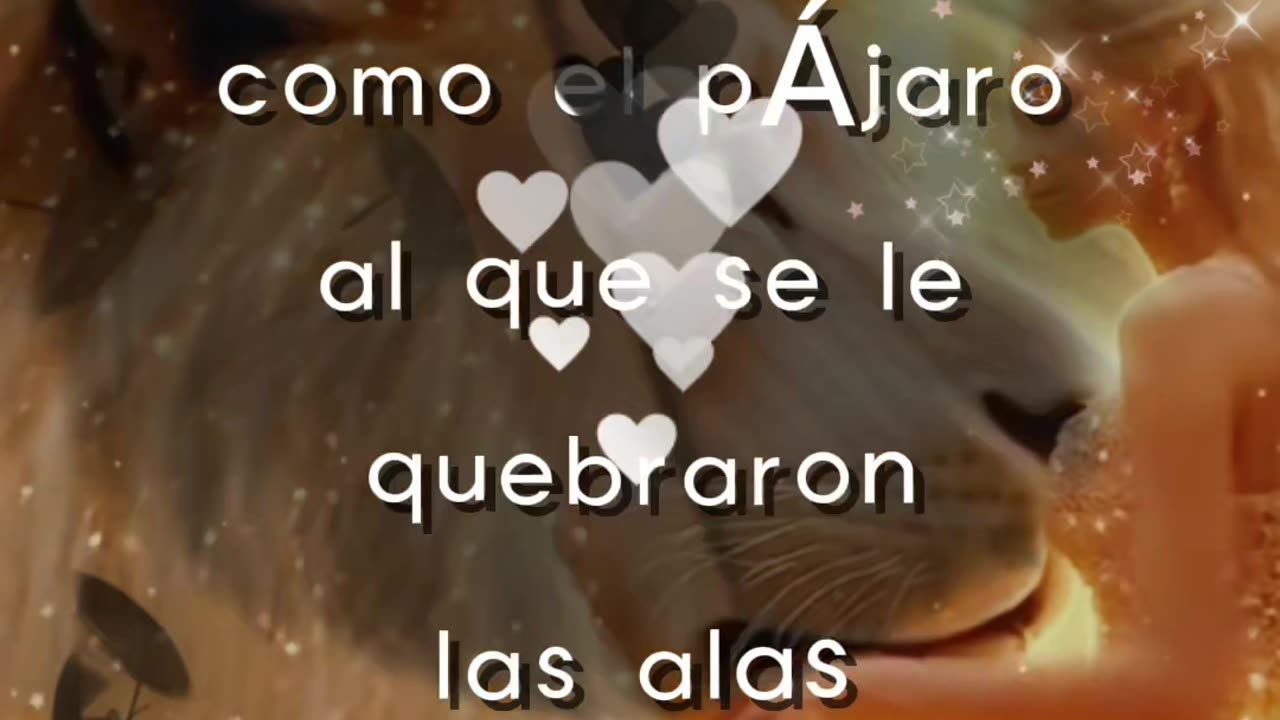 REFLEXIÓN 💫 🤍 🙏 ❤️ ♥️ 💕 💫 🤍 🙏 ❤️ ♥️ 💕