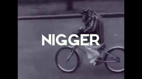 Bicycle niggers attack white man