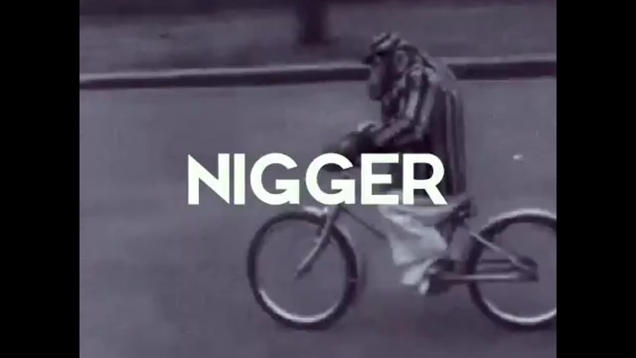 Bicycle niggers attack white man