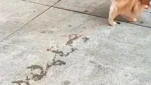 His Life, His Style