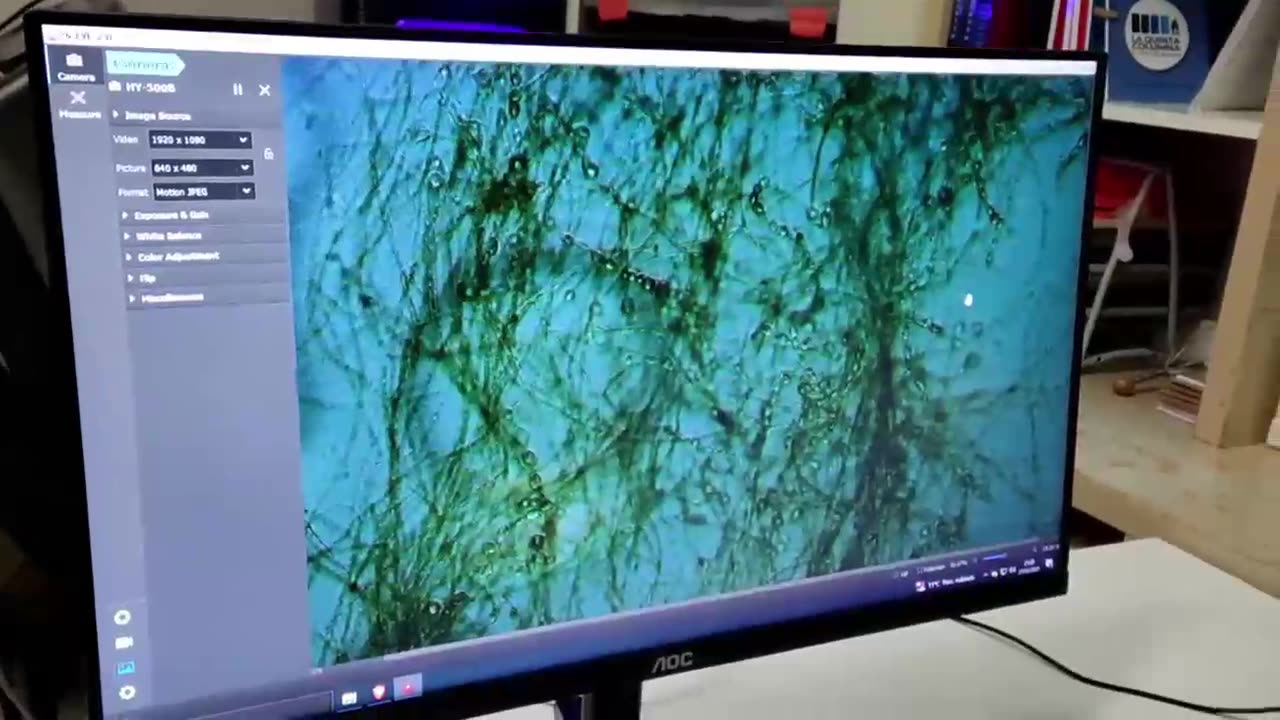 VIEWING INSIDE PFIZER (LUCIFER) VACCINE - Una mirada rápida dentro de la vacuna Pfizer (Lucifer).