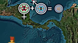 Arma biológica natural dos EUA