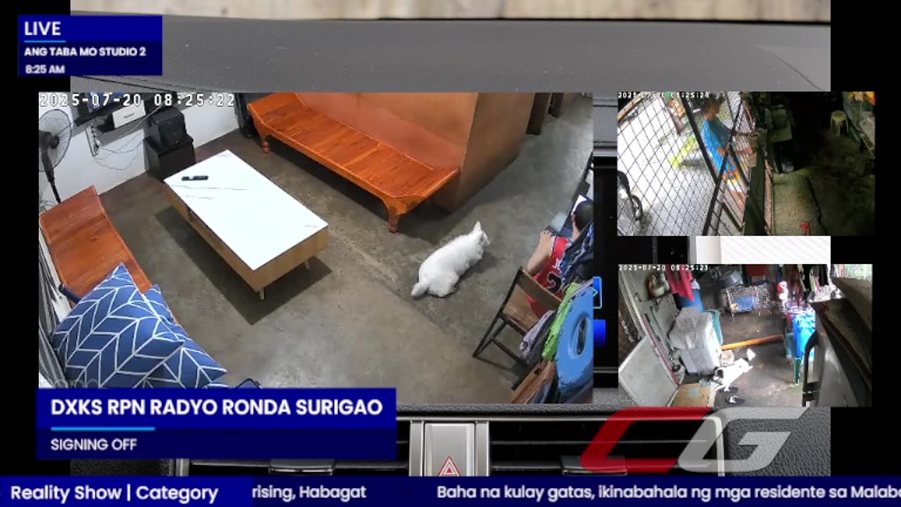 Mitsubishi Xpander 2019 Live