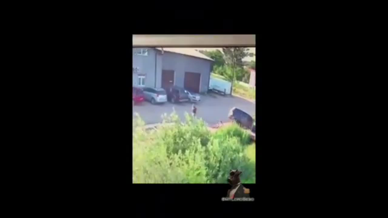 4 hours of "bussification" - forced snatching of people in Ukraine