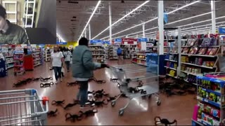 Outtake #1,009 Of Over 20 Fictitious Scorpions Roam Around A Walmart Supercenter Fake Strange Video