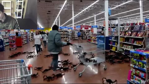 Outtake #1,009 Of Over 20 Fictitious Scorpions Roam Around A Walmart Supercenter Fake Strange Video