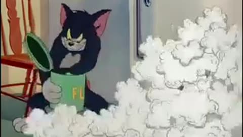 Tom and Jerry fans