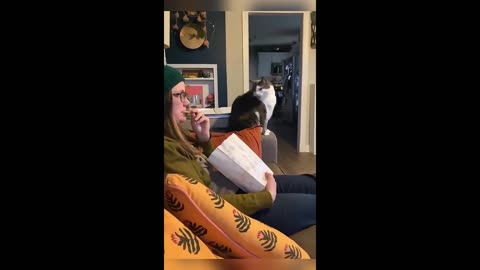 "Hilarious Animals Caught on Camera 😂 | Try Not to Laugh Challenge 2025!"