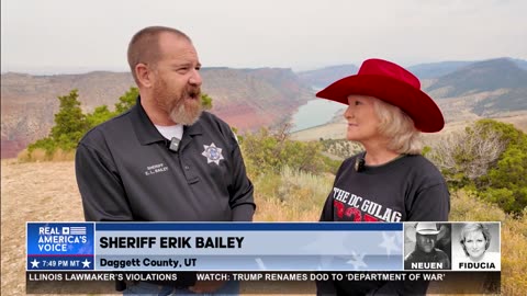 WHAT IS A CONSTITUTIONAL SHERIFF?