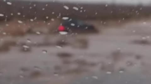 Play stupid games, win stupid prizes.