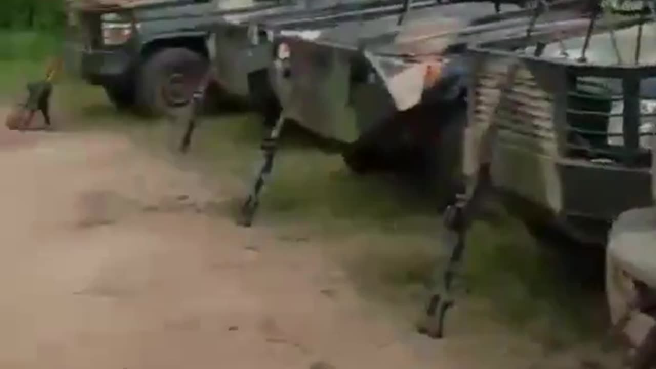 They are in Your Land but you re Celebrating Nnamdi Kanu sentence