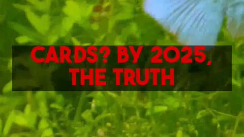 The Truth About No KYC Crypto Debit Cards
