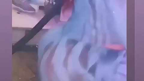 Damn kharla