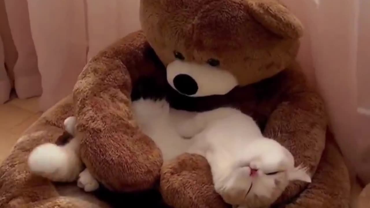 Nap time.. 😊