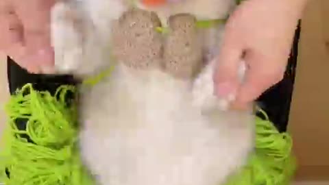 cat oriental dancing