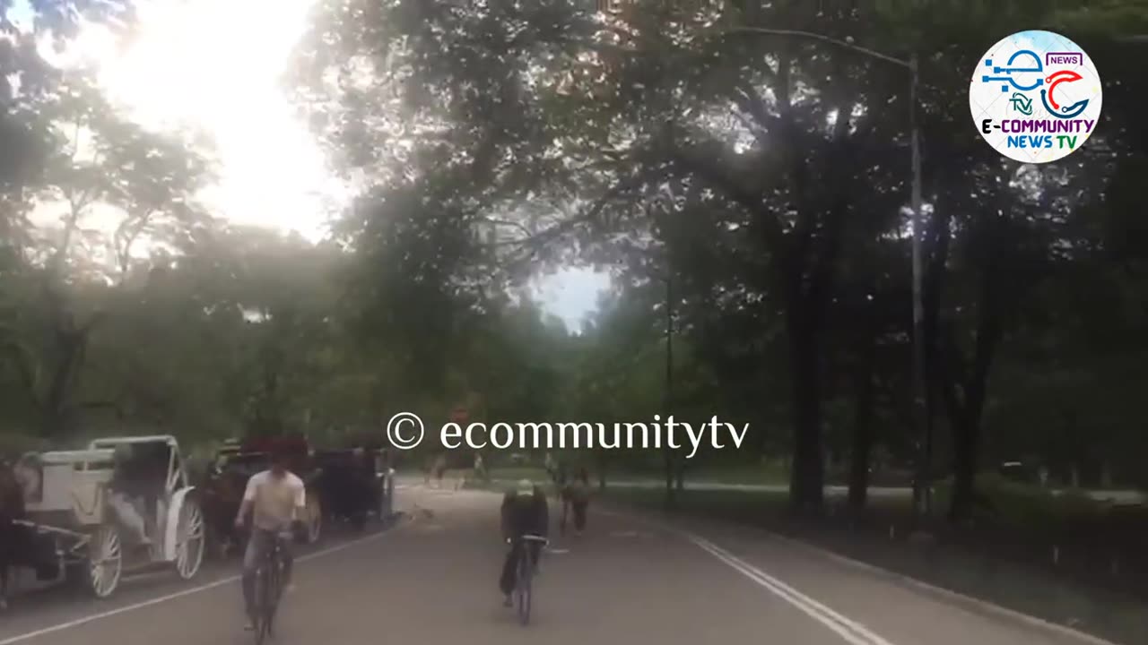 Central Park Park 02 - Shabbir Infotainment