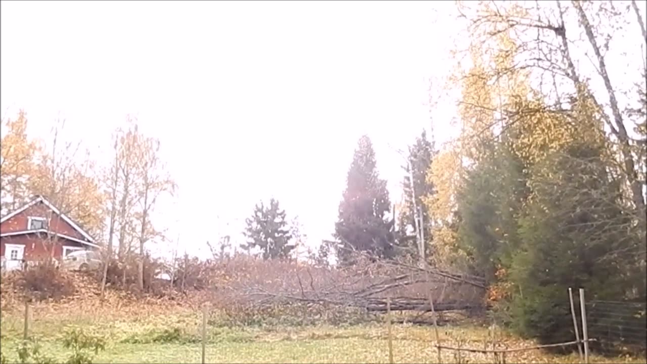 vikaa auringossa 17 10 17