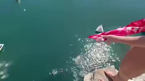 Jumping:)