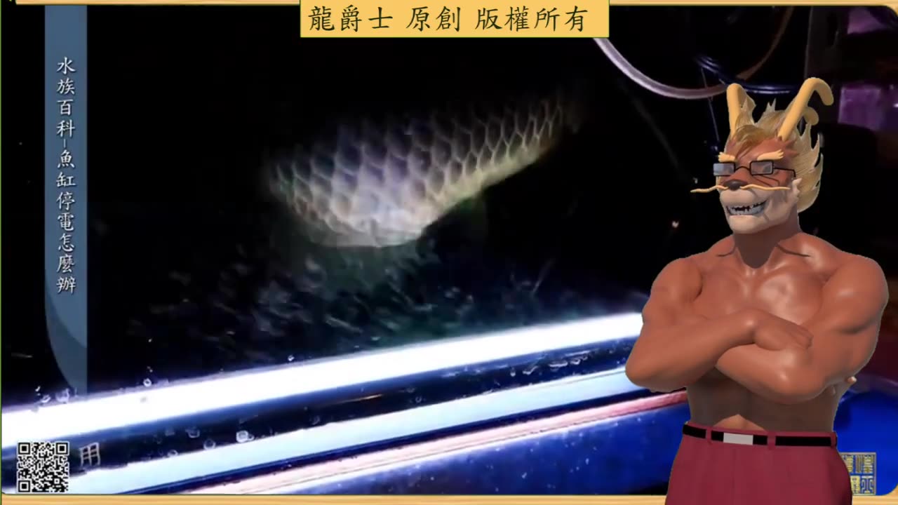 【龍爵士】水族百科 魚缸停電怎麼辦