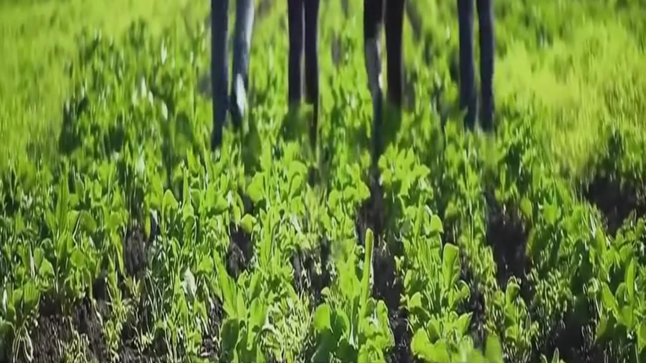 Why They Will Never Admit or Tell The Public About Rapid Human Cloning