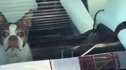 i think bro needs help